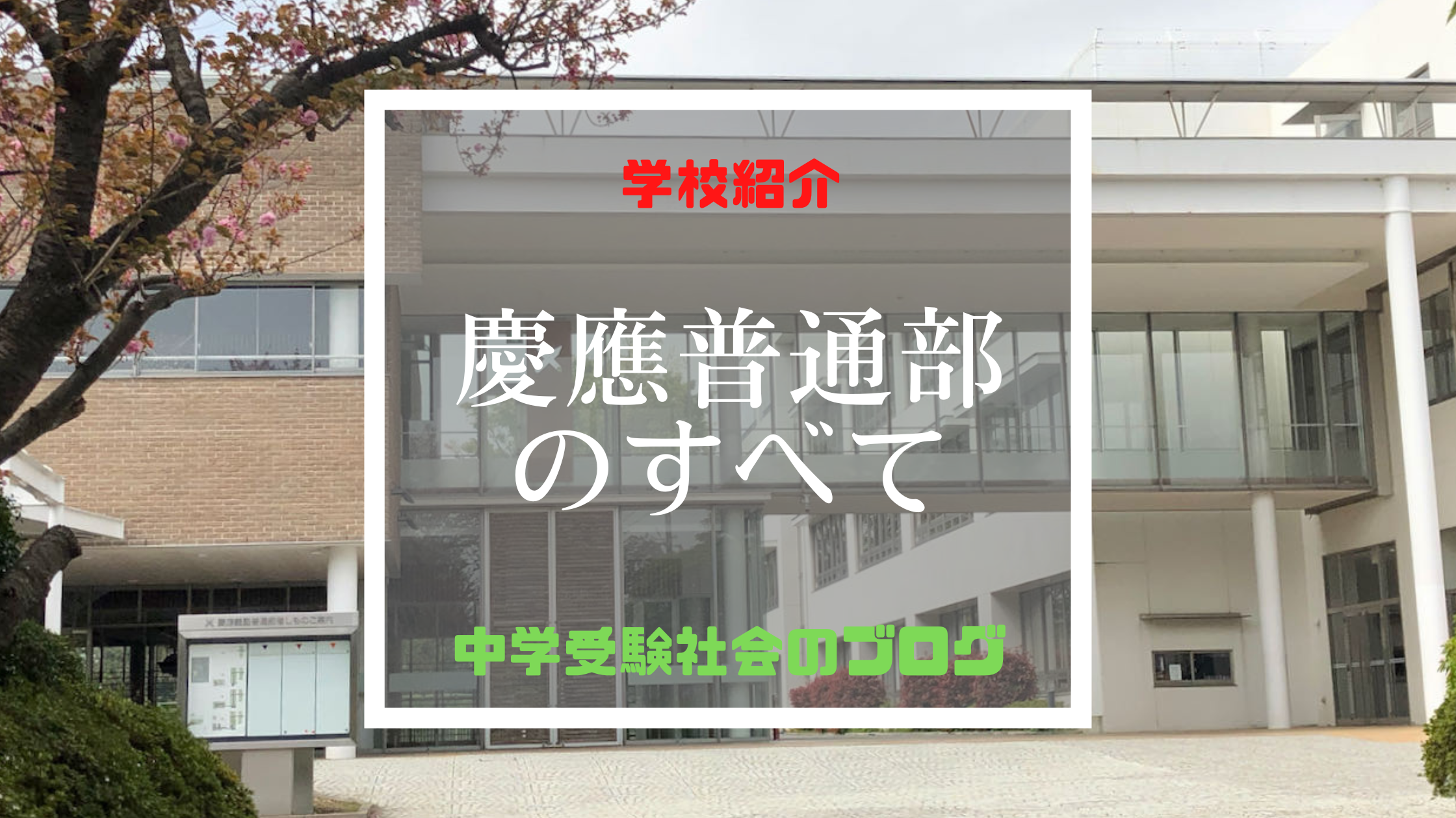 慶應義塾普通部のすべて【最新偏差値、倍率、合格実績、併願作戦