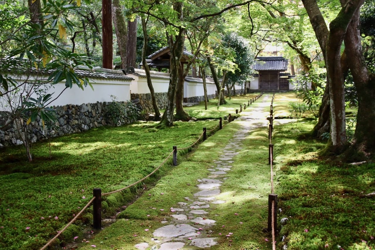京都、苔寺（西芳寺）巡り | 中学受験社会のブログ