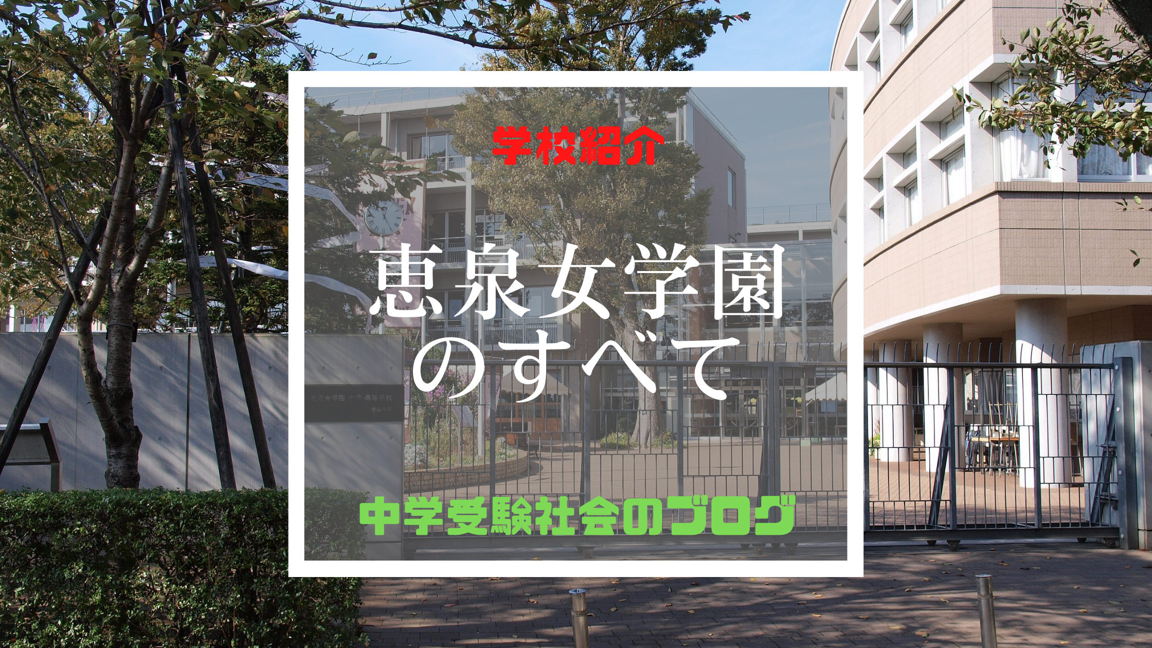 恵泉女学園大学 [2009年版 大学入試シリーズ] | 教学社編集部